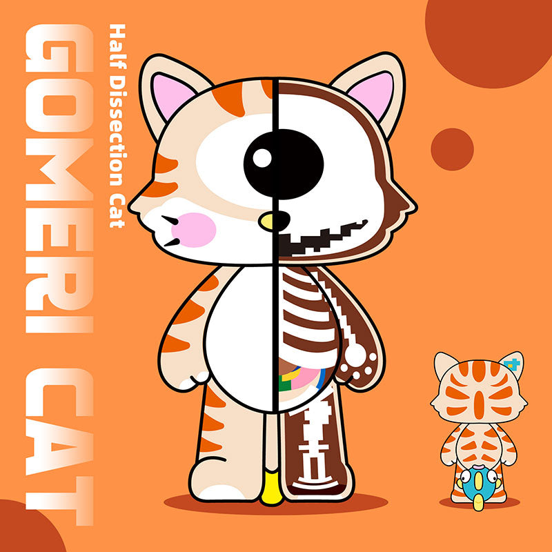 Half Dissection Cat-thumbmail-1