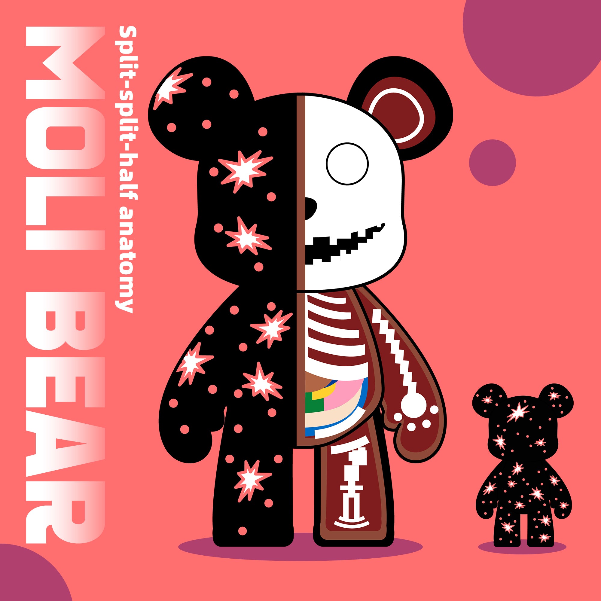 Split-split-half anatomy Bear